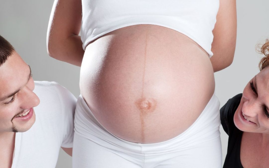 Idaho Surrogacy Viability